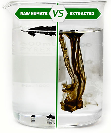 Raw Vs Extracted Humic Acid